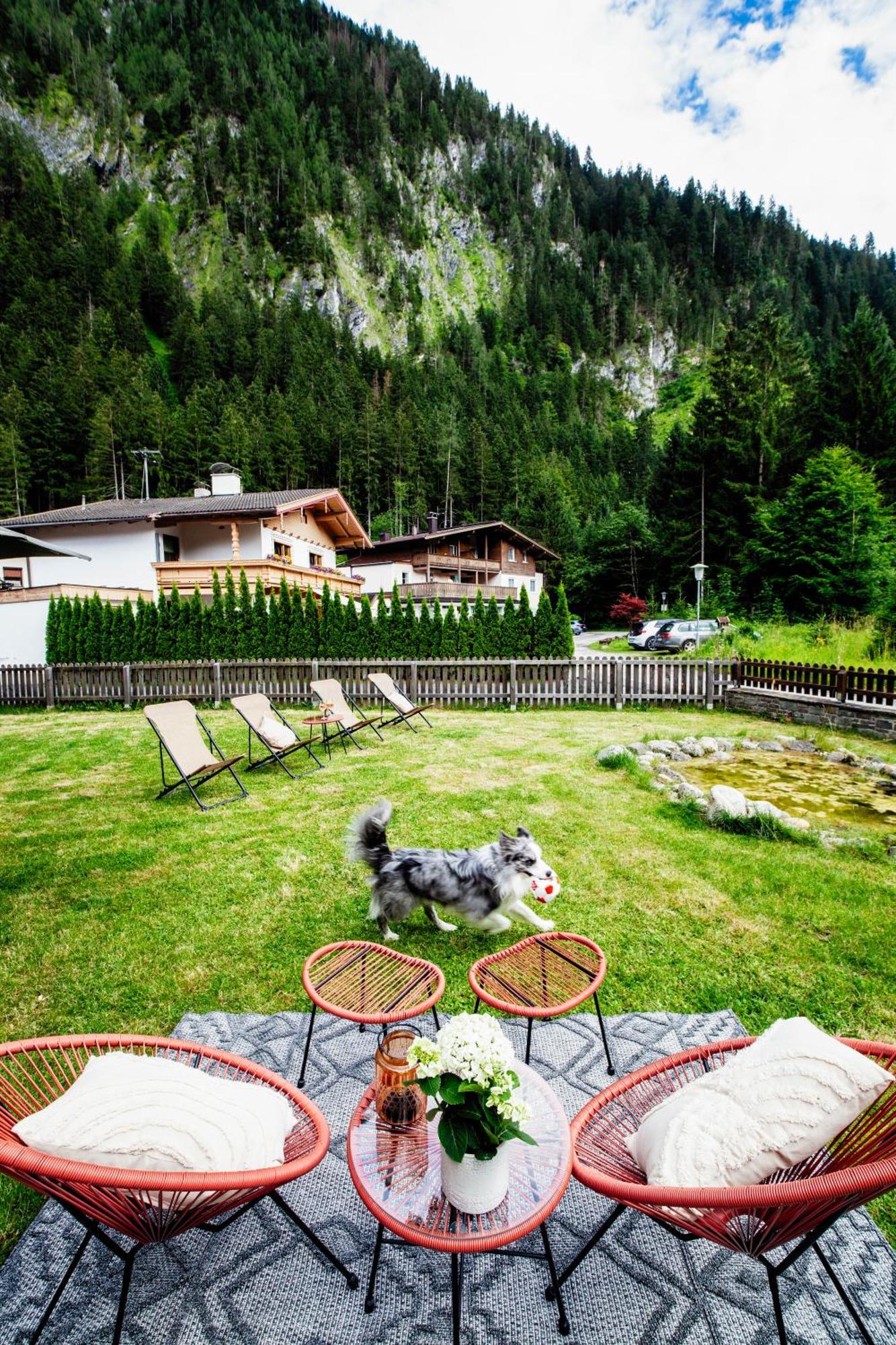 Pinetree Lodge Mayrhofen Dış mekan fotoğraf